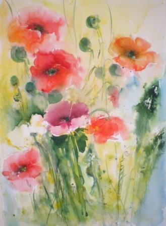 Mohn